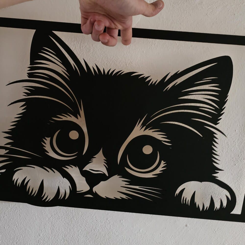 cat - صورة إضافية 3